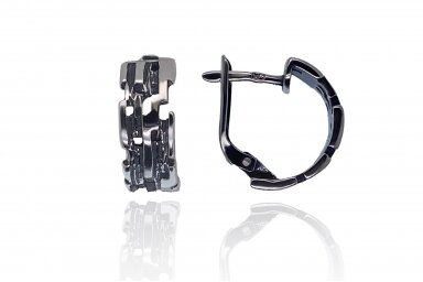 Earrings A353532042 Earrings A353532042